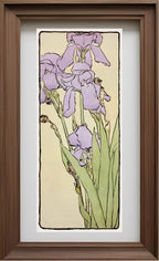 Iris