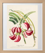 Le Colibri Végétal Agathi