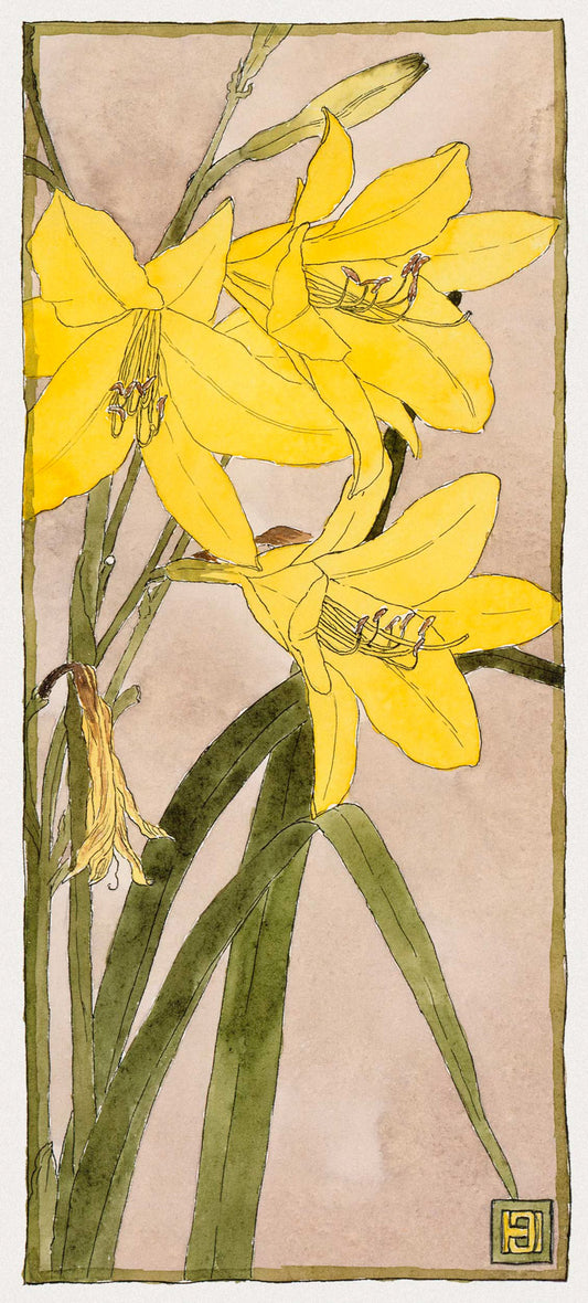 Yellow Day Lily
